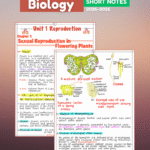 Class 12 Biology Handwritten Short Notes 2025–2026 (Topper’s Notes)