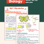 Class 12 Biology Handwritten Short Notes 2025–2026 (Handwritten by Topper’s)